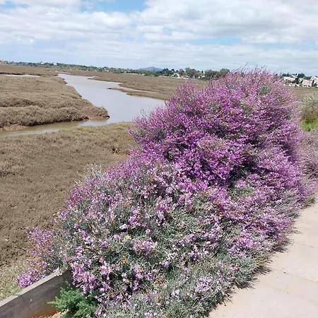 Pedras D'el Rei *
