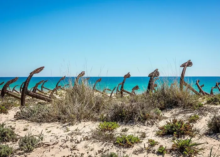 Апартаменты Pedras D'el Rei *